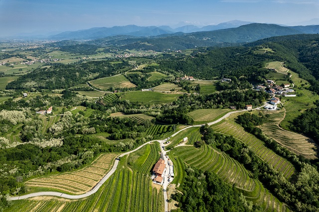 TenutaStella-aerial